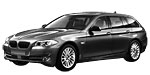 BMW F11 P206F Fault Code